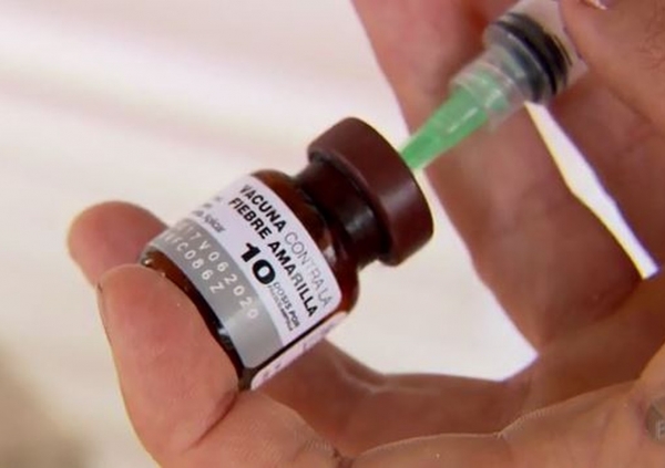 Febre amarela: Sociedade Brasileira de Imunizações diz que reforço de dose da vacina pode ser considerado