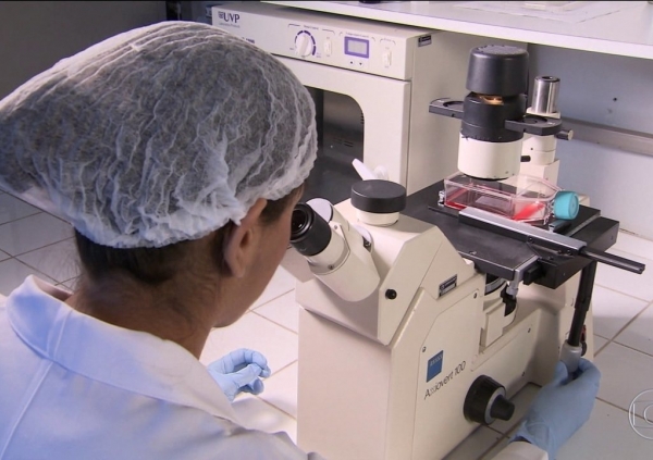 Zika trata tumor cerebral em cobaias