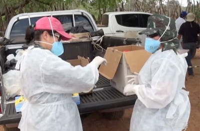 Ministério da Saúde confirma primeiro caso de Febre do Nilo